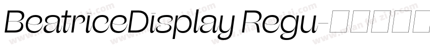 BeatriceDisplay Regu字体转换
